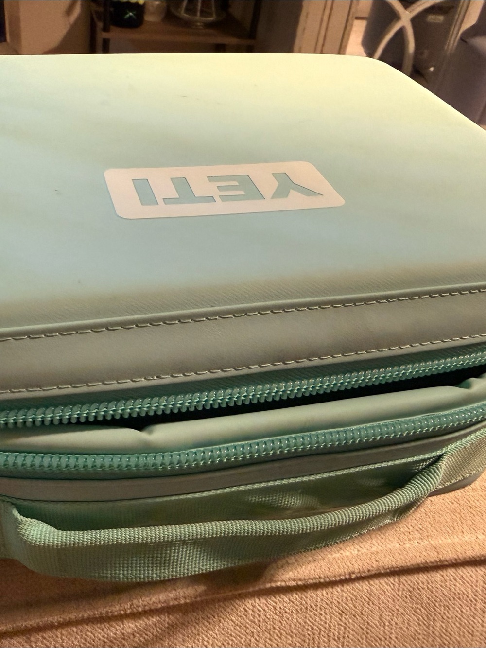 Yeti soft cooler case in mint green